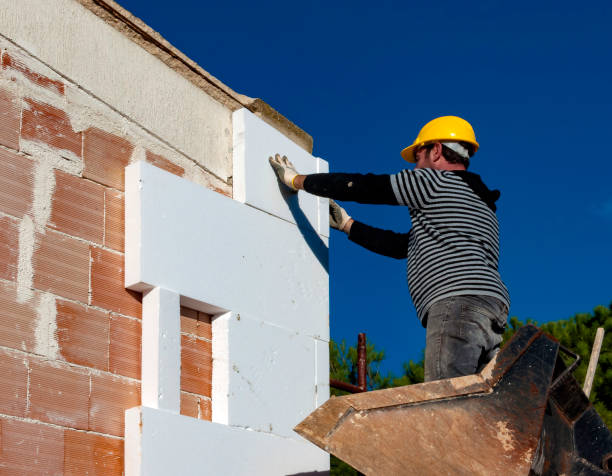 Best Insulation Installation Services in Biltmore Forest, NC