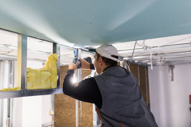 Best Insulation Materials and Products in Biltmore Forest, NC